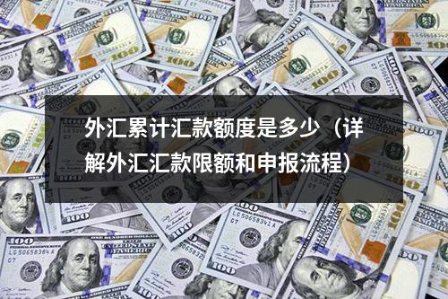 外汇累计汇款额度是多少（详解外汇汇款限额和申报流程）