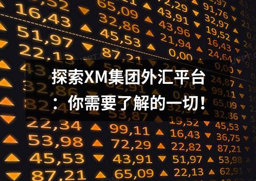 探索XM集团外汇平台：你需要了解的一切！