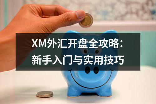 XM外汇开盘全攻略：新手入门与实用技巧