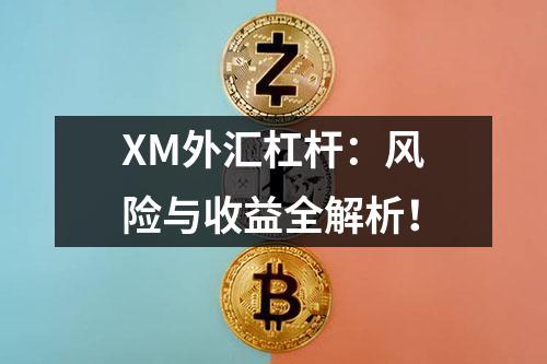 XM外汇杠杆：风险与收益全解析！