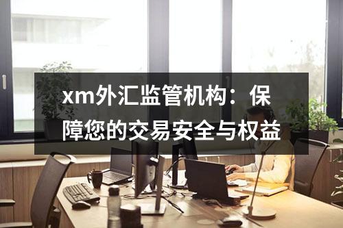 xm外汇监管机构：保障您的交易安全与权益