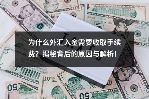 为什么外汇入金需要收取手续费？揭秘背后的原因与解析！